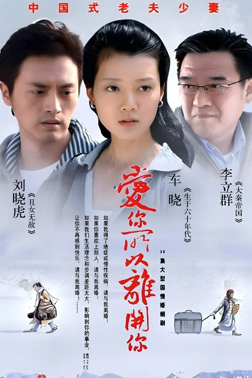 爱你所以离开你(2008)海报