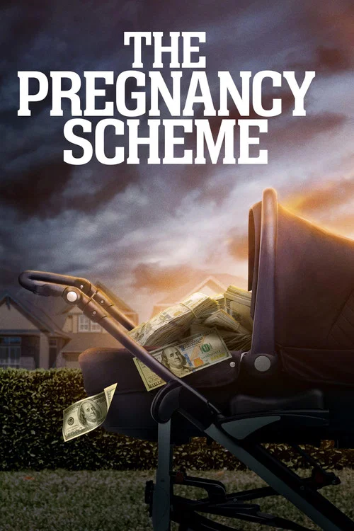 The Pregnancy Scheme(2023)海報