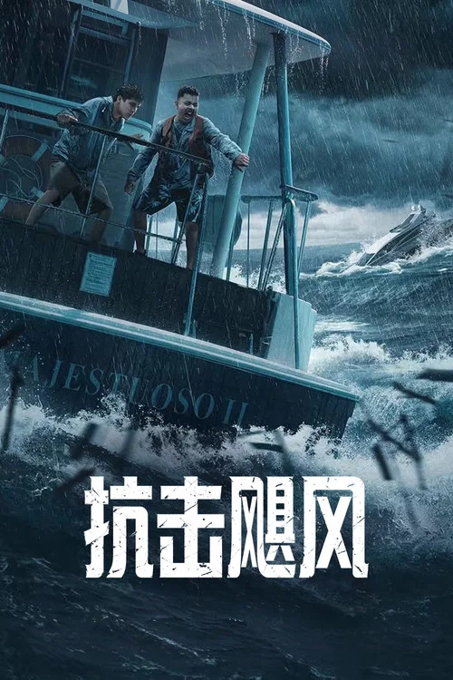 抗擊颶風劇照2