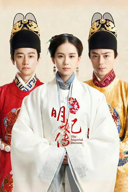 女醫明妃傳(2016)海報