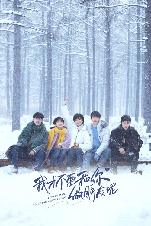 我才不要和你做朋友呢(2020)海报