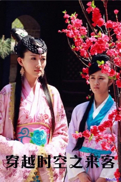 穿越时空之来客(2010)海报