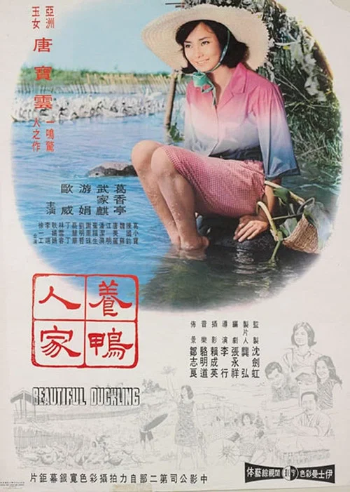 养鸭人家(1965)海报