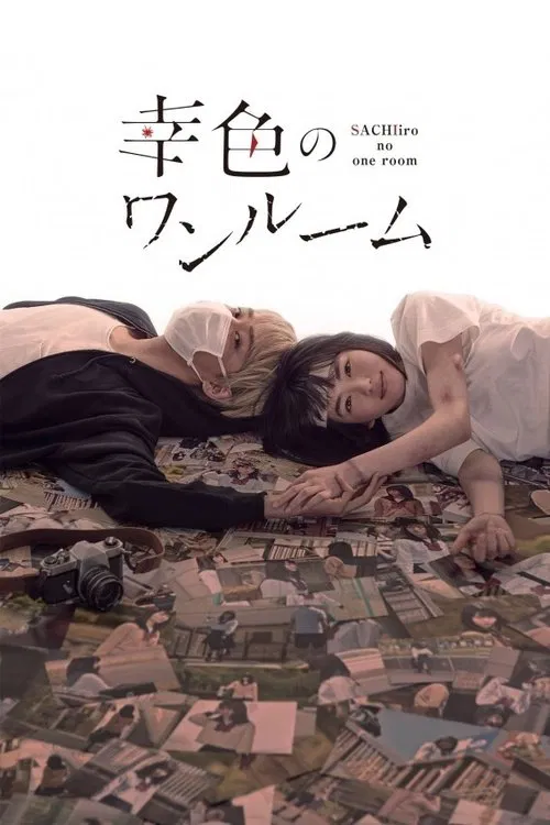 幸色的一居室(2018)海報