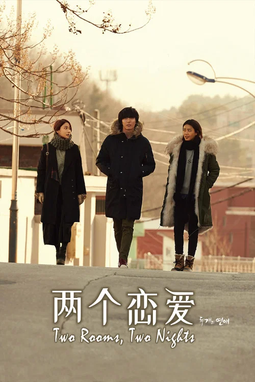 两个恋爱(2016)海报