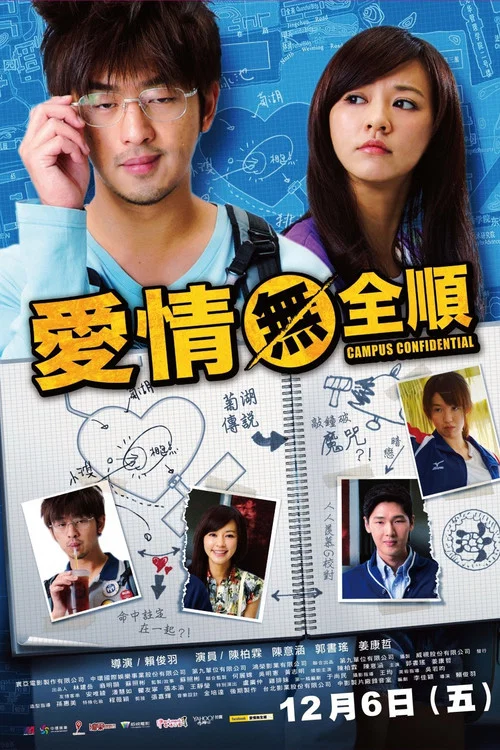 追爱大布局(2013)海报
