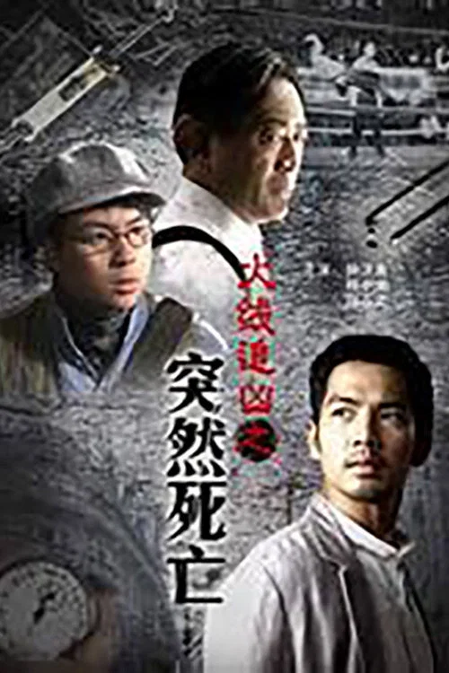 火线追凶之突然死亡(2009)海报