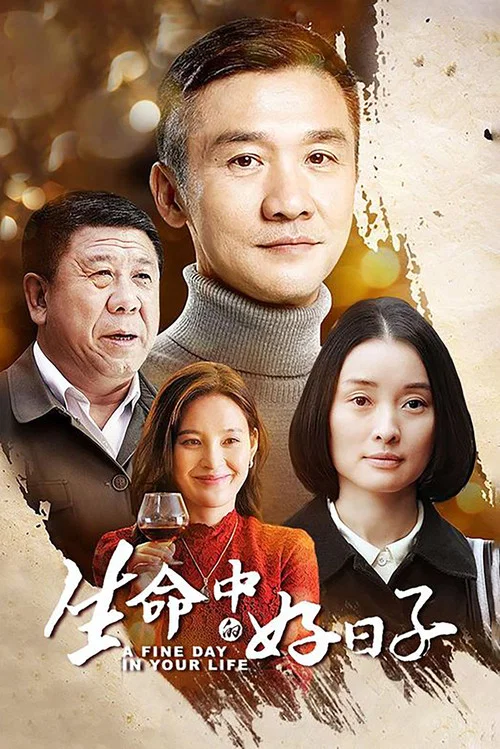 生命中的好日子(2016)海報
