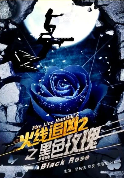 火線追兇2之黑色玫瑰(2013)海報