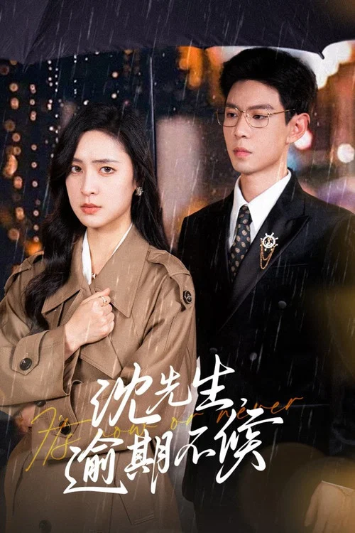 沈先生逾期不候(2024)海報