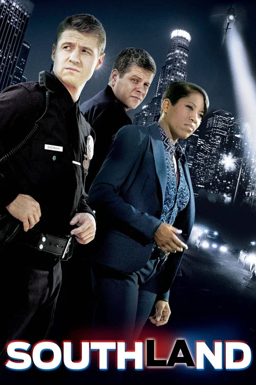 城事(2009)海報