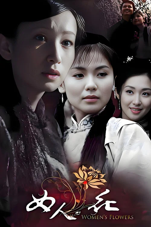 女人花(2008)海报