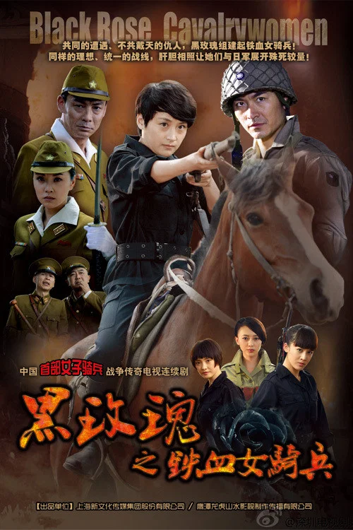 烽火铁骑(2013)海报