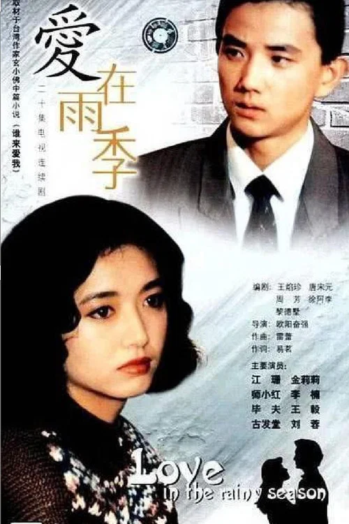 愛在雨季(1992)海報