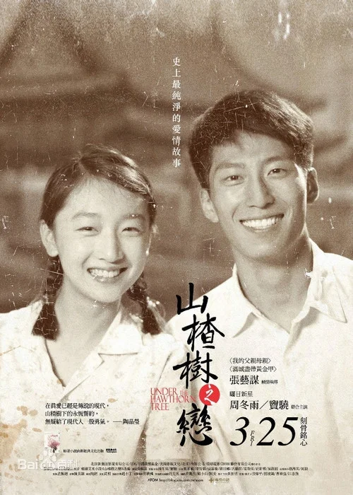 山楂树之恋剧照2