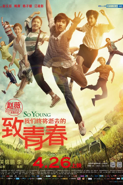 致我们终将逝去的青春(2013)海报