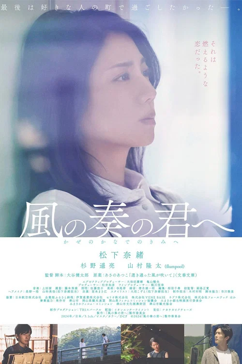 致演奏风的你(2024)海报