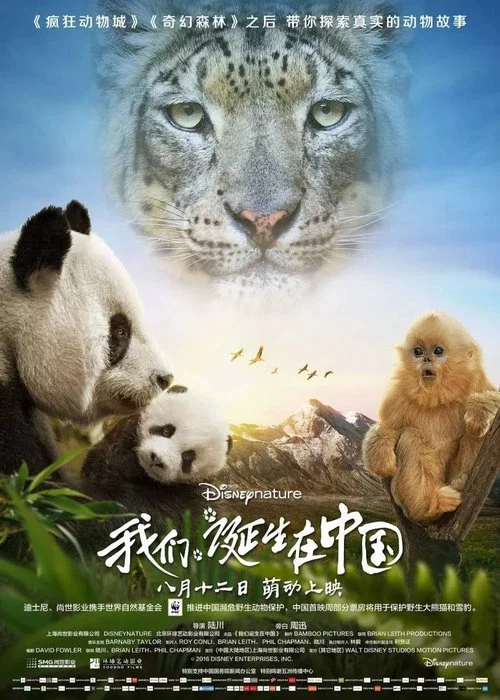 我们诞生在中国剧照3
