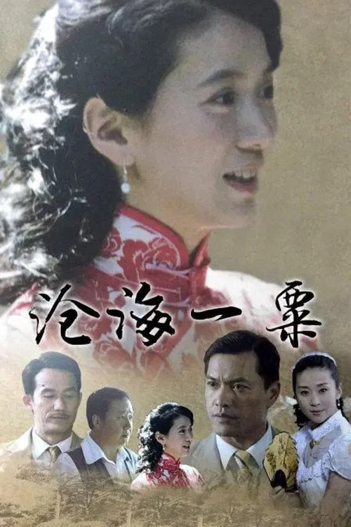 滄海一粟(2008)海報
