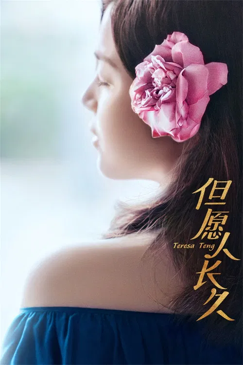但愿人长久(2024)海报