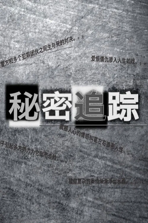 秘密追蹤(2015)海報
