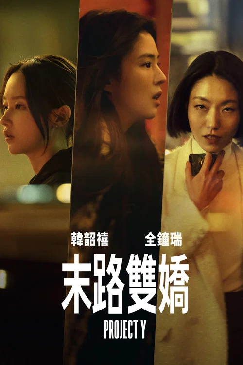 Y计划(2026)海报