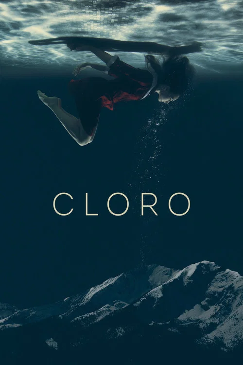 氯(2015)海报
