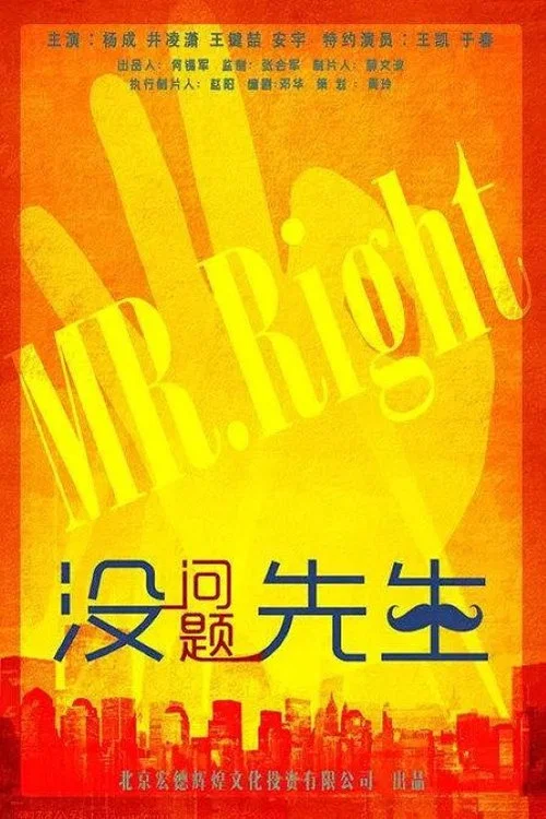 没问题先生(2015)海报