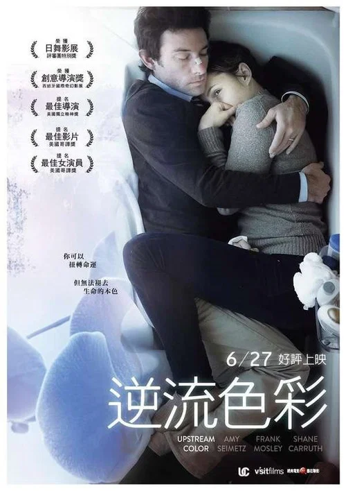 逆流的色彩(2013)海報