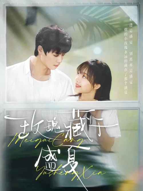 藏于盛夏(2025)海报