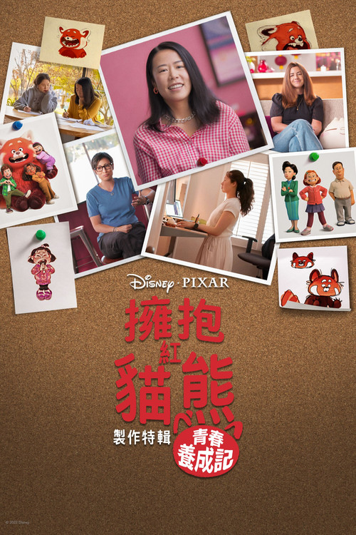 拥抱小熊猫:青春变形记背后的故事剧照3