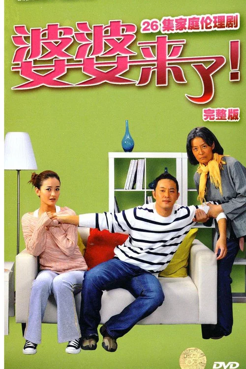 婆婆來了(2010)海報