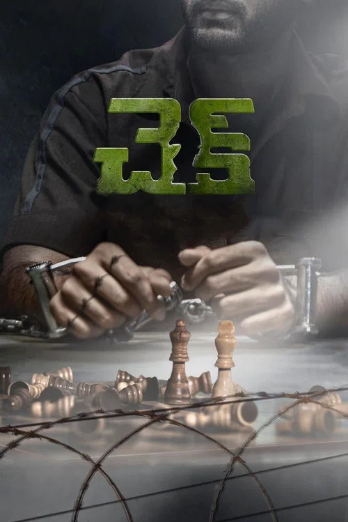 冤獄棋聖(2021)海報