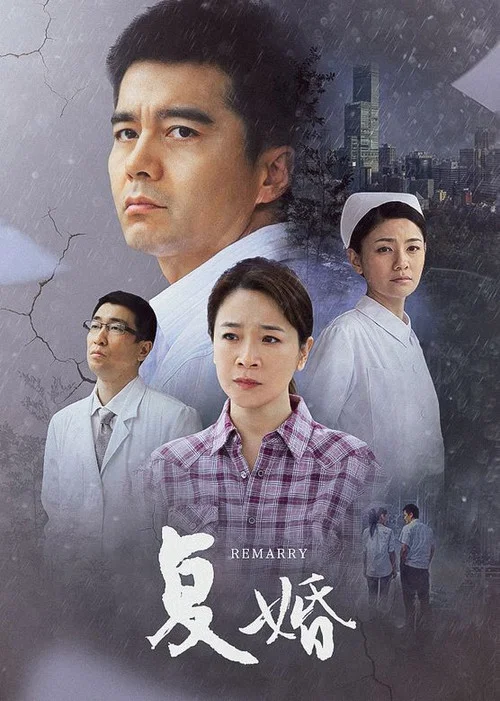 复婚(2010)海报
