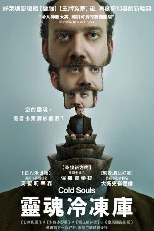 冷凍靈魂(2009)海報