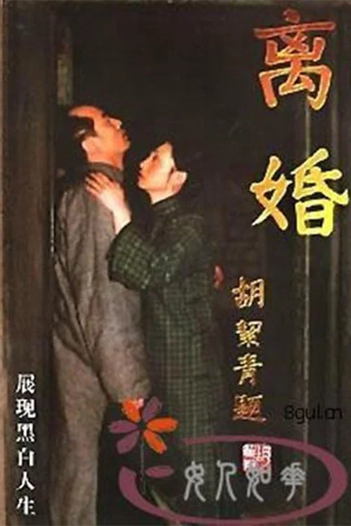 离婚(1999)海报