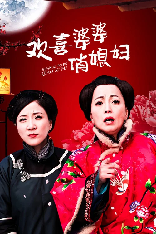 欢喜婆婆俏媳妇(2010)海报
