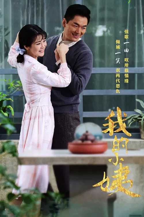 我的小姨(2017)海報
