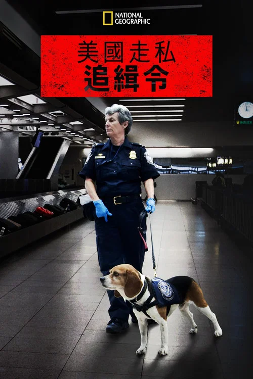 走私追緝令 第八季劇照2