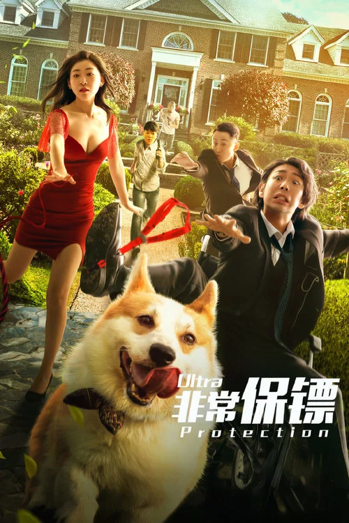 非常保镖剧照2