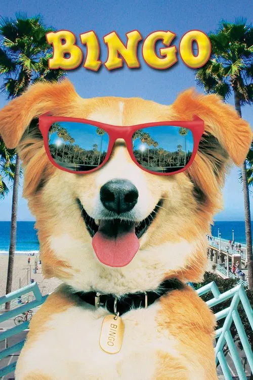 靈犬賓果(1991)海報