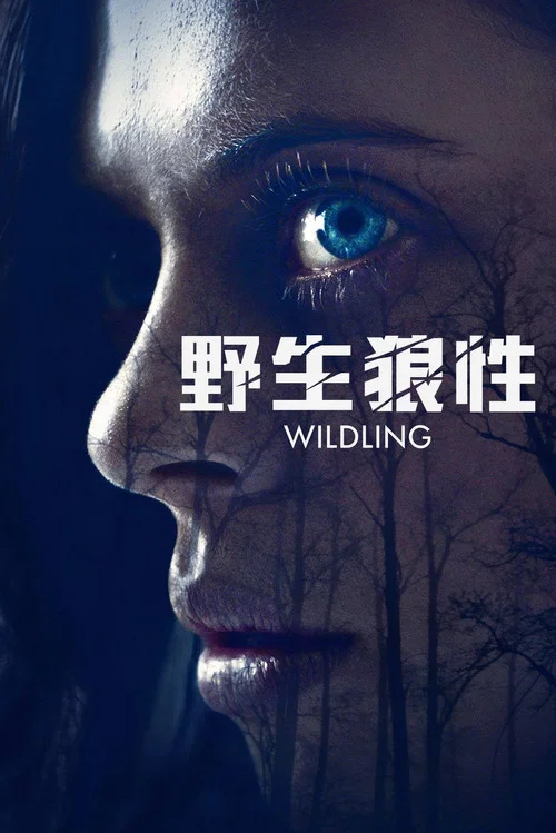 狼性(2018)海报