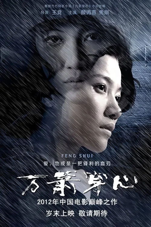 万箭穿心剧照6