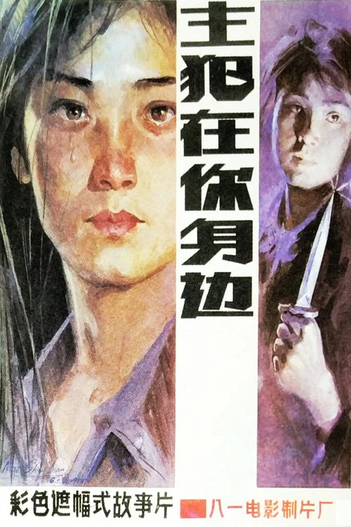 主犯在你身边(1985)海报