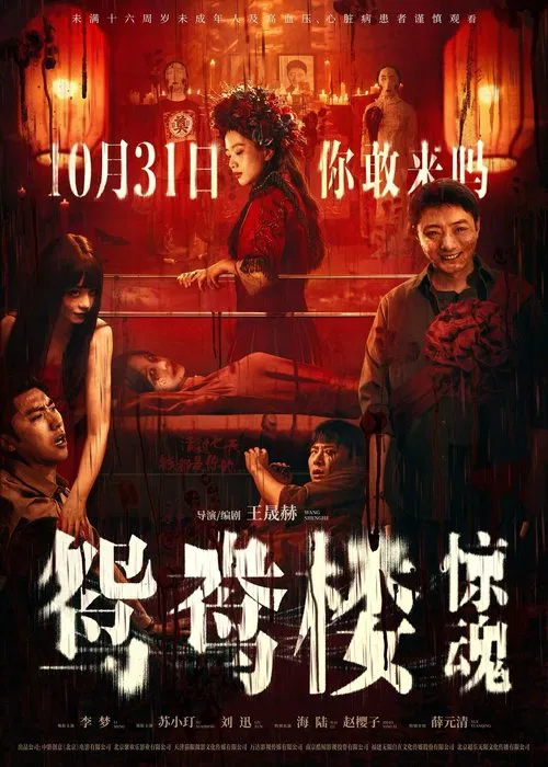 鸳鸯楼·惊魂(2024)海报
