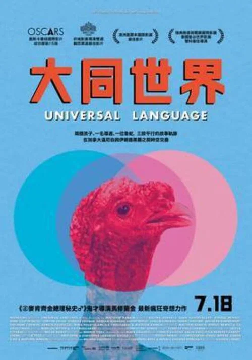 共同的語言(2024)海報