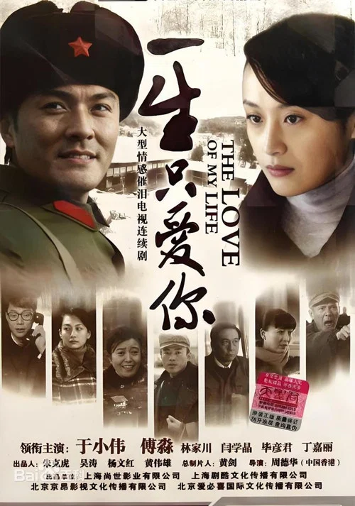 一生只爱你(2012)海报