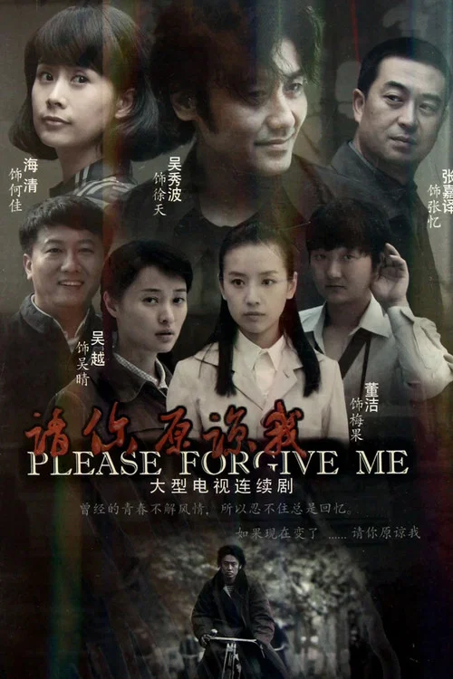 请你原谅我(2011)海报