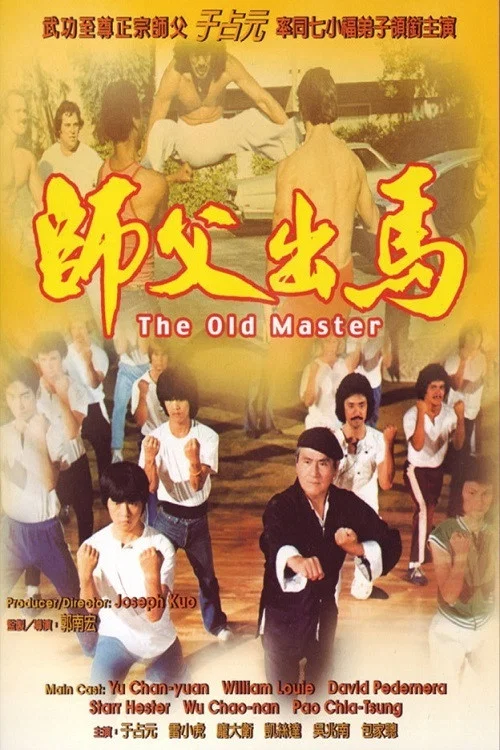 师父出马(1979)海报