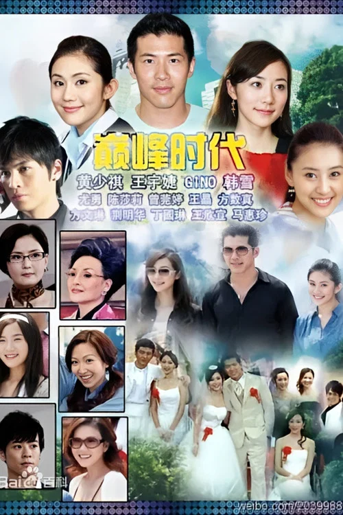 巅峰时代(2011)海报